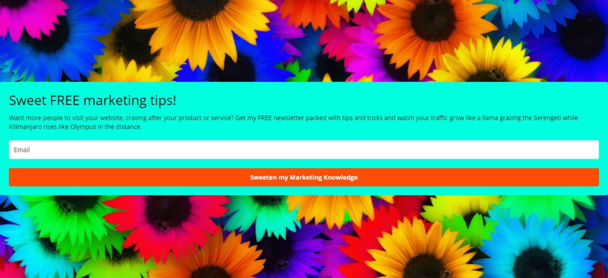 Screenshot Of The Mailerlite Signup Form Landing Page Created For This Tutorial