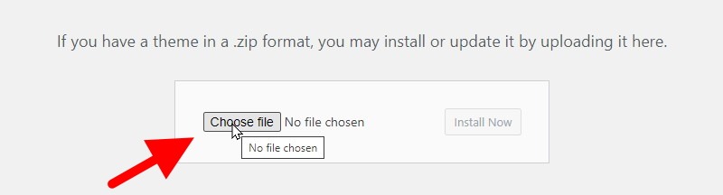 Click The Choose File Button