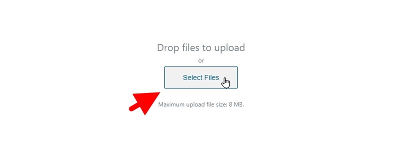 Click The Button That Reads Select Files